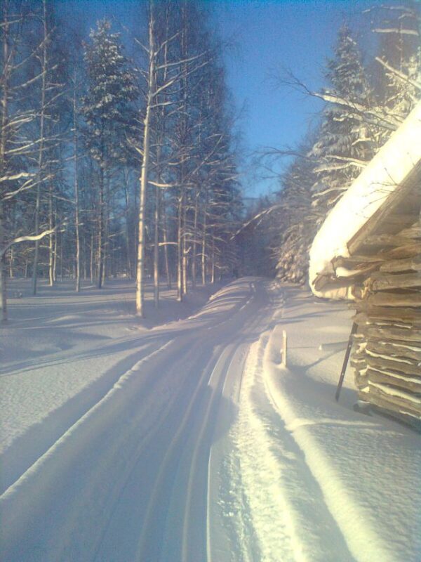 Sääolojen salliessa metsäladulla hiihtoa