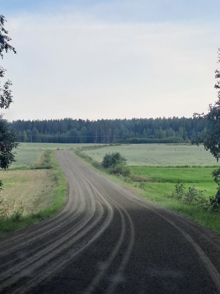 Saarilan maatilamatkailu